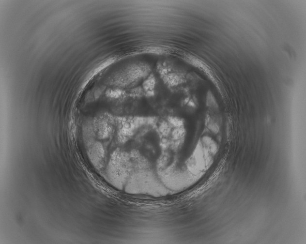 X0000111910827200909071155