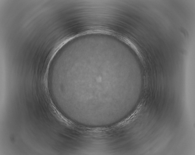 X0000111910828200909071155