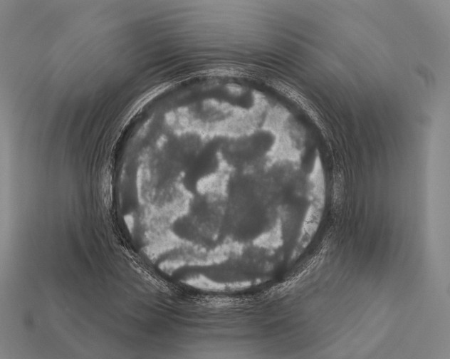 X0000111910829200909071155