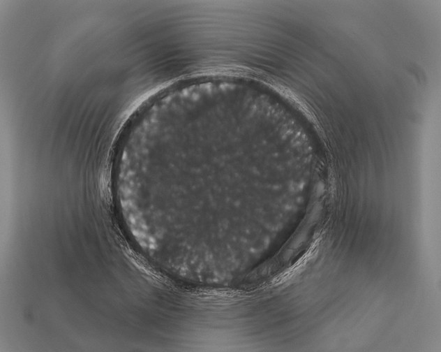 X0000111910830200909071155
