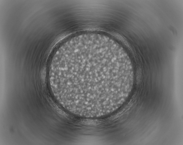 X0000111910831200909071155
