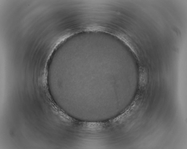X0000111910832200909071155