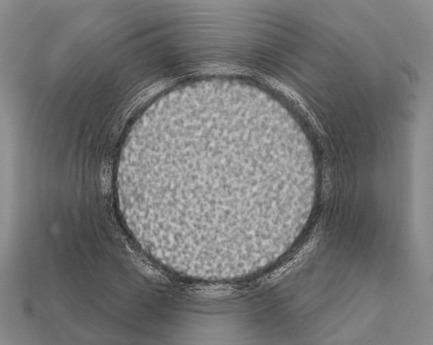 X0000111910833200909071155