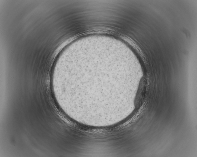 X0000111910834200909071155