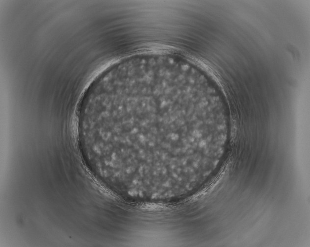 X0000111910835200909071155