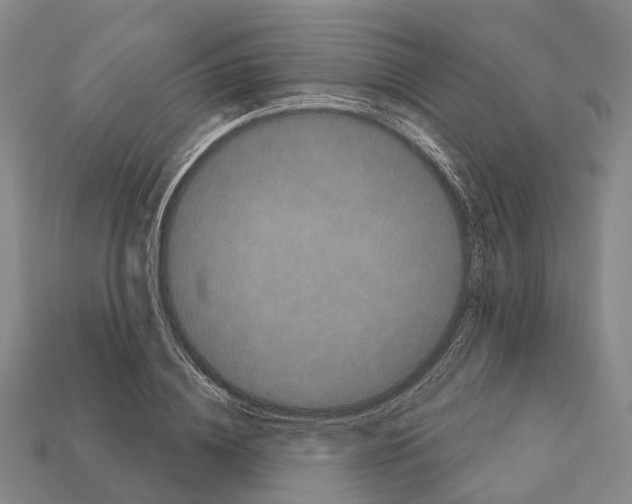 X0000111910836200909071155