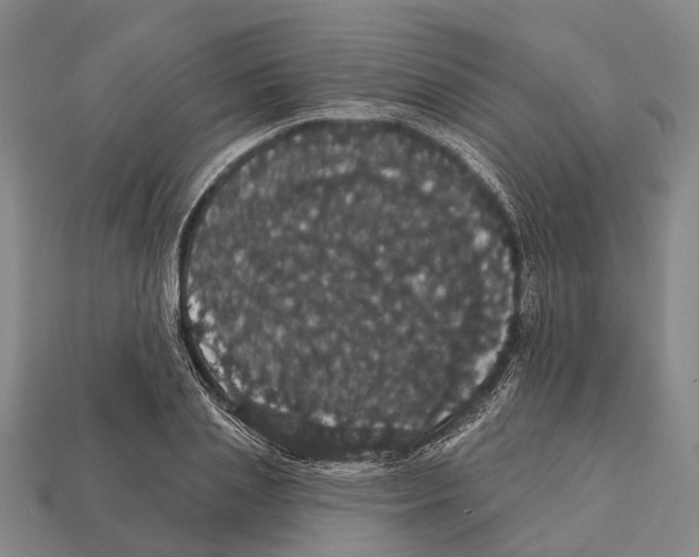 X0000111910837200909071155