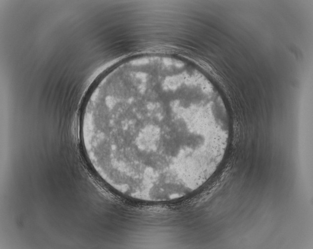 X0000111910838200909071155