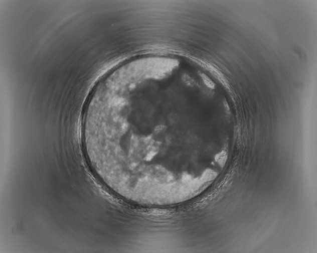 X0000111910839200909071155