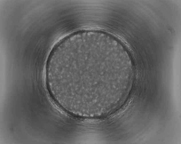 X0000111910840200909071155