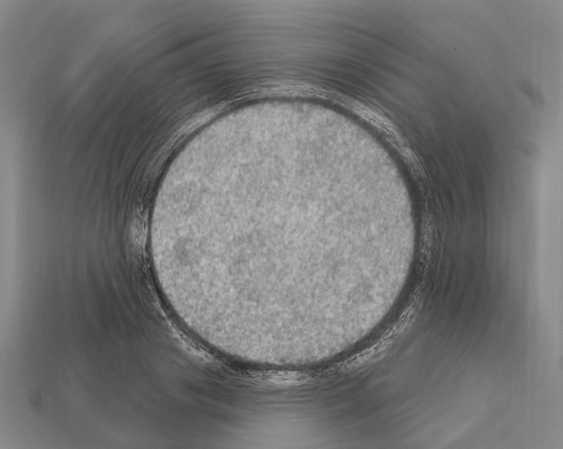 X0000111910841200909071155