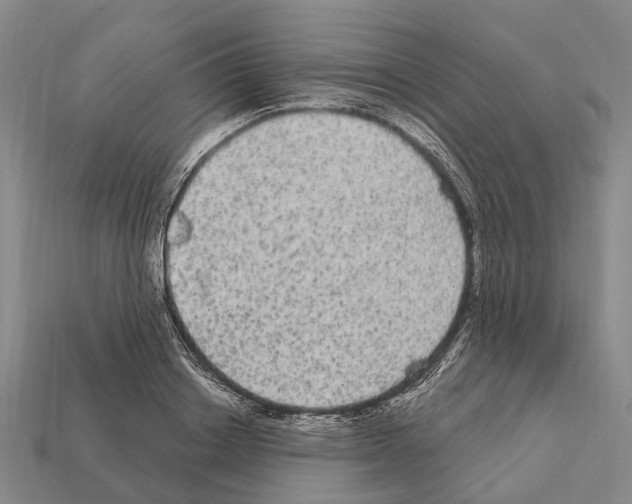 X0000111910842200909071155