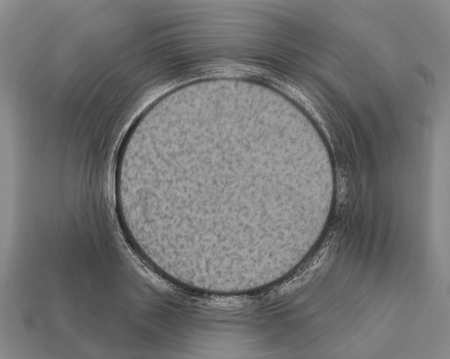 X0000111910843200909071155