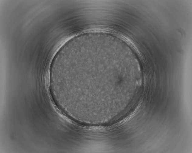 X0000111910844200909071155