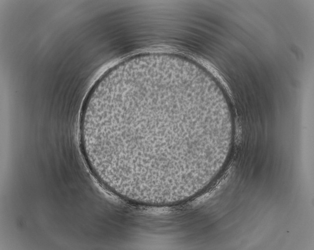 X0000111910845200909071155