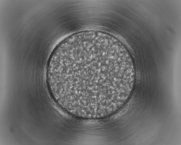 X0000111910846200909071155
