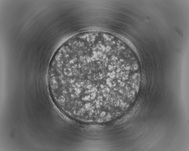 X0000111910847200909071155