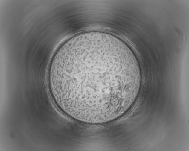X0000111910848200909071155