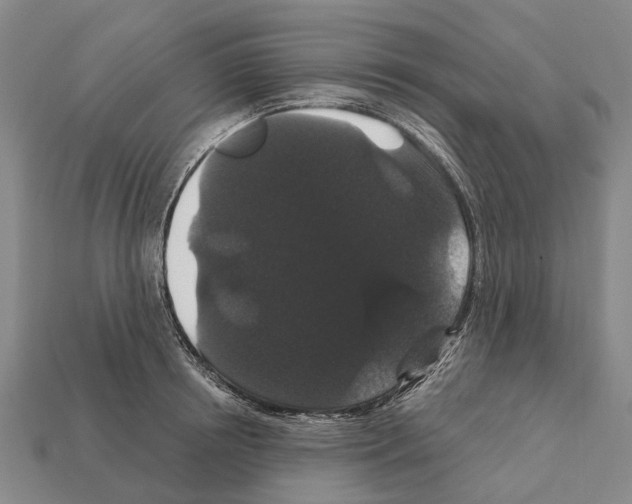 X0000111910850200909071155