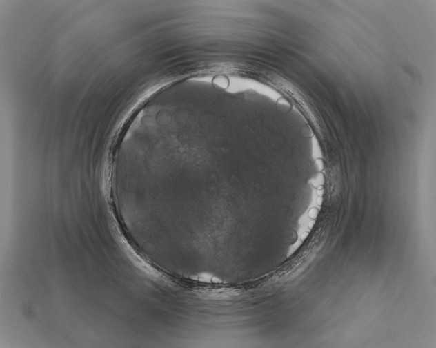 X0000111910851200909071155