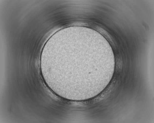 X0000111910852200909071155