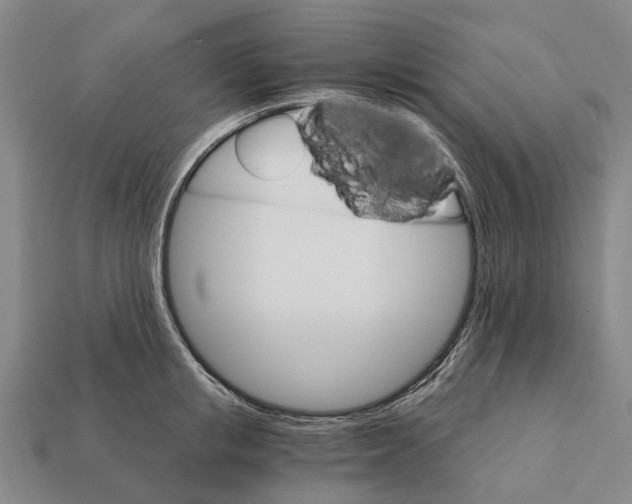 X0000111910853200909071155