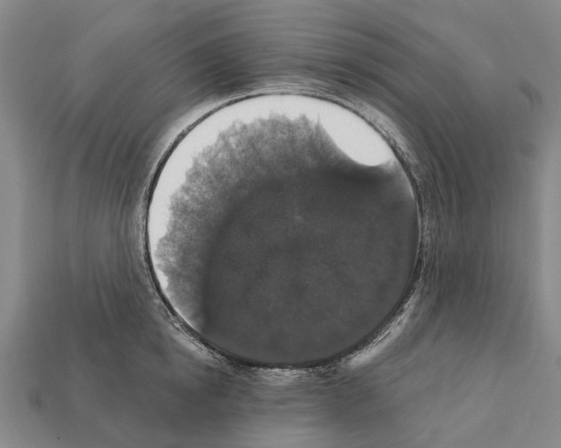 X0000111910854200909071155
