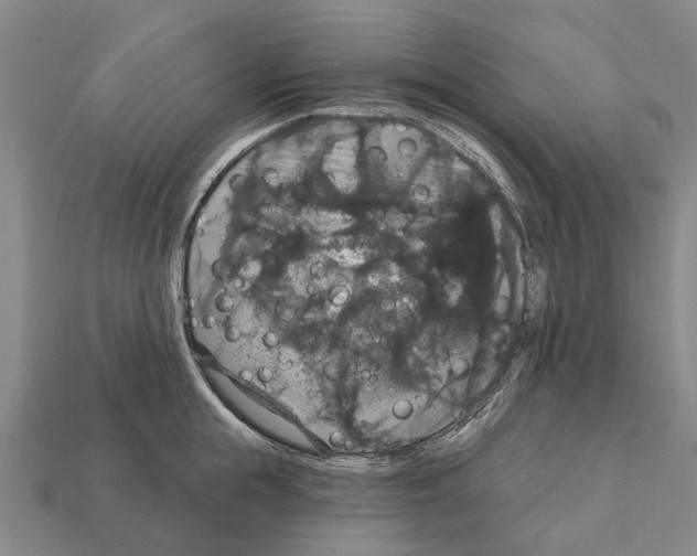 X0000111910855200909071155