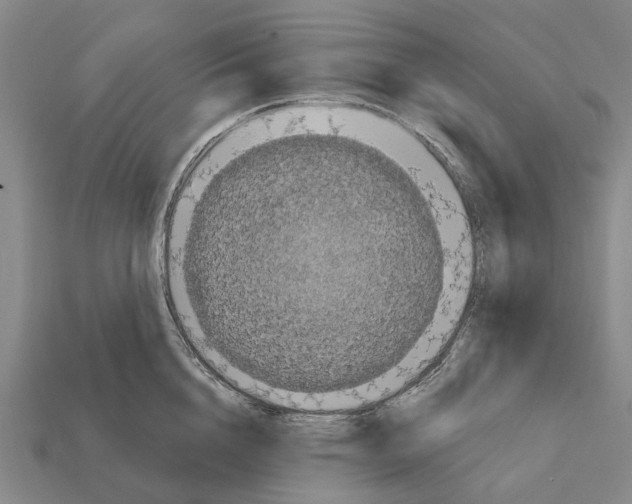 X0000111910856200909071155