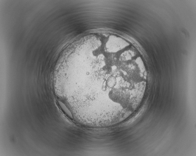 X0000111910857200909071155