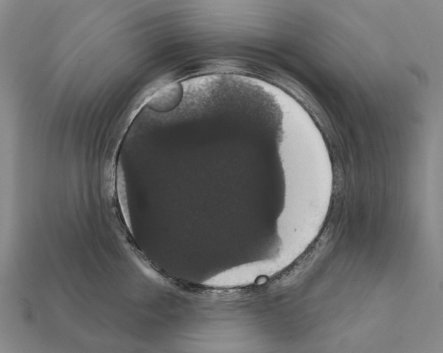 X0000111910858200909071155