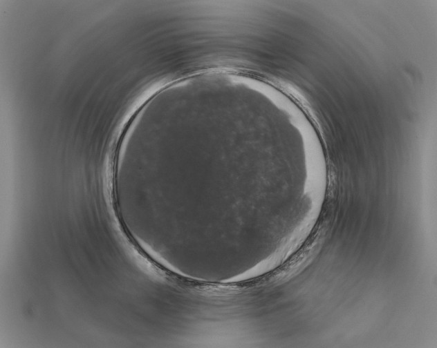 X0000111910859200909071155