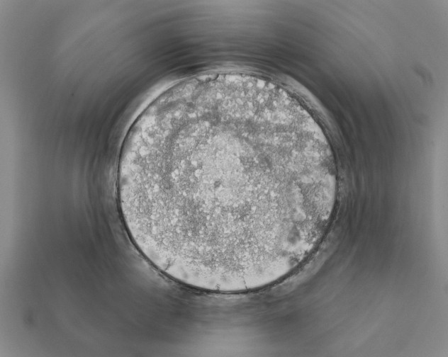 X0000111910860200909071155