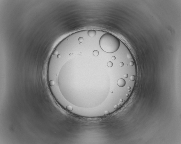 X0000111910862200909071155