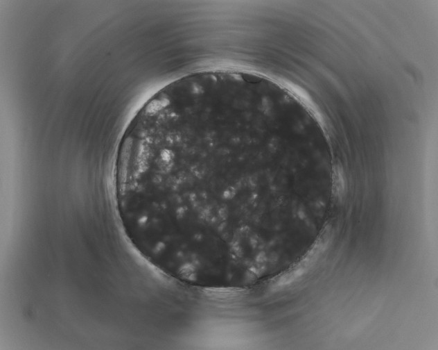 X0000111910863200909071155