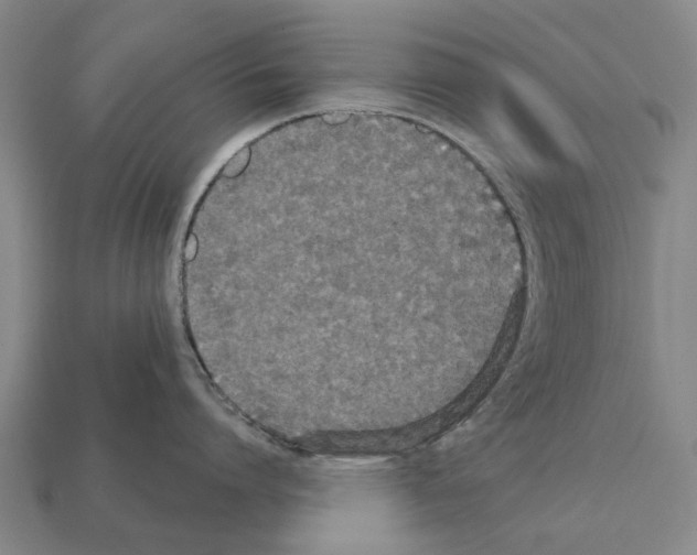 X0000111910864200909071155