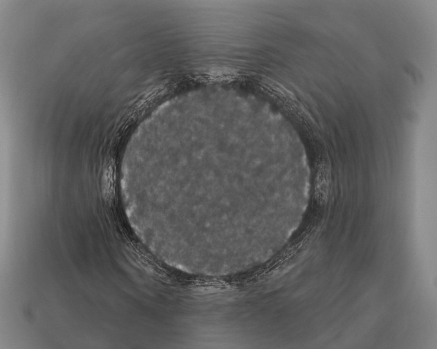 X0000111910866200909071154