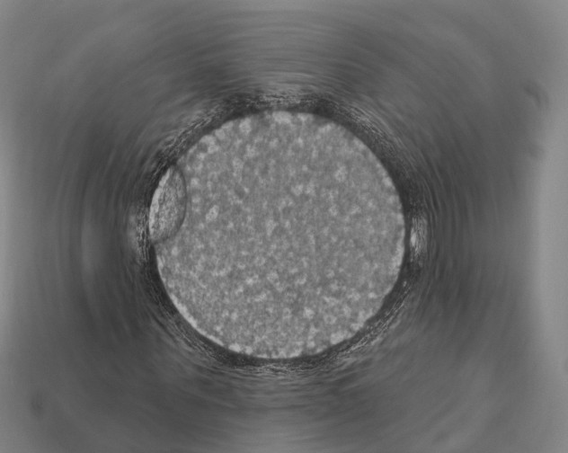 X0000111910867200909071154