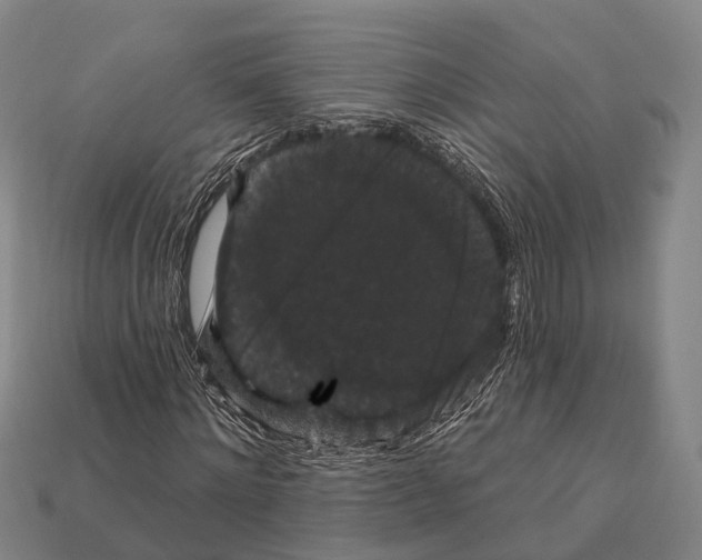 X0000111910868200909071154