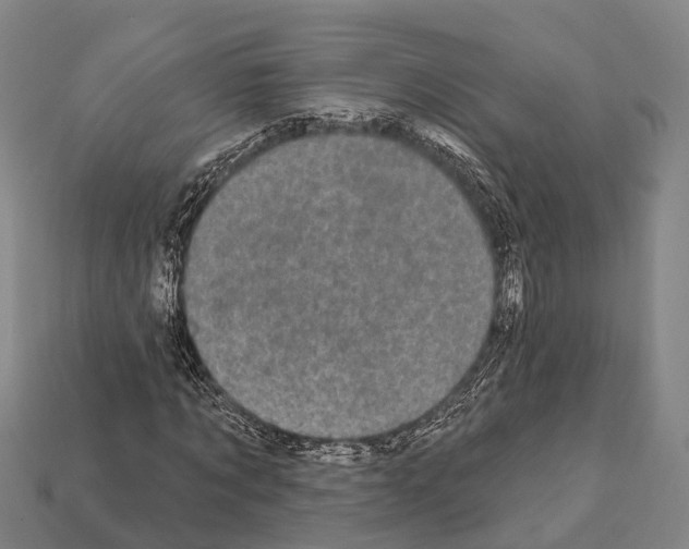 X0000111910869200909071154