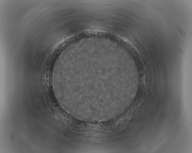 X0000111910870200909071154