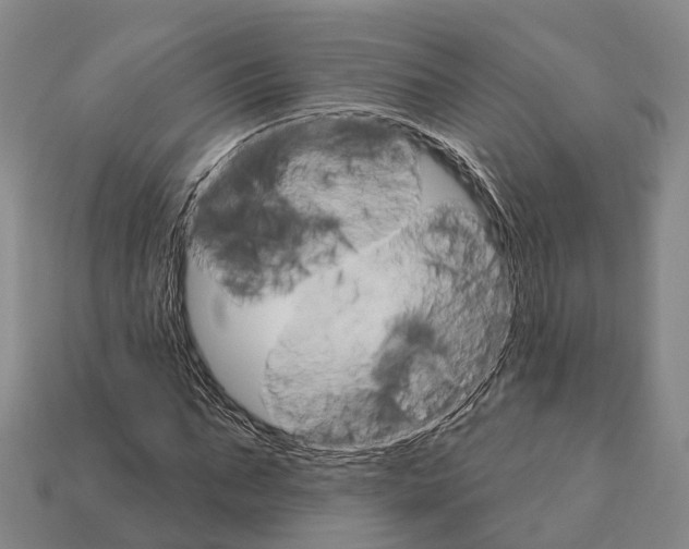 X0000111910871200909071154