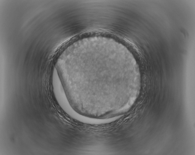 X0000111910872200909071154