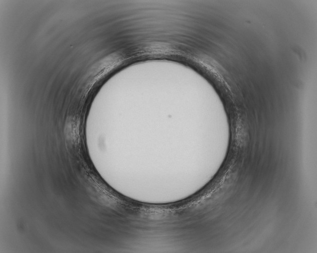 X0000111910873200909071154