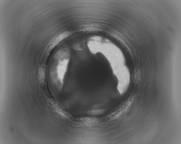 X0000111910874200909071154
