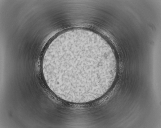 X0000111910875200909071154