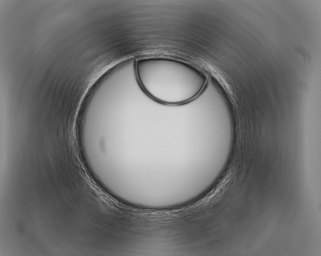 X0000111910876200909071154