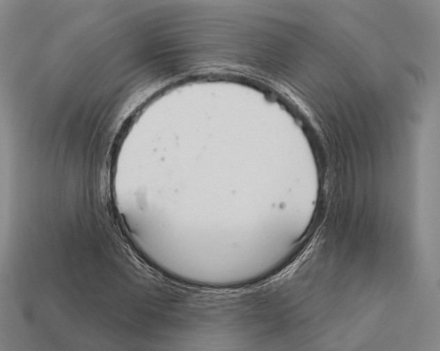 X0000111910877200909071154