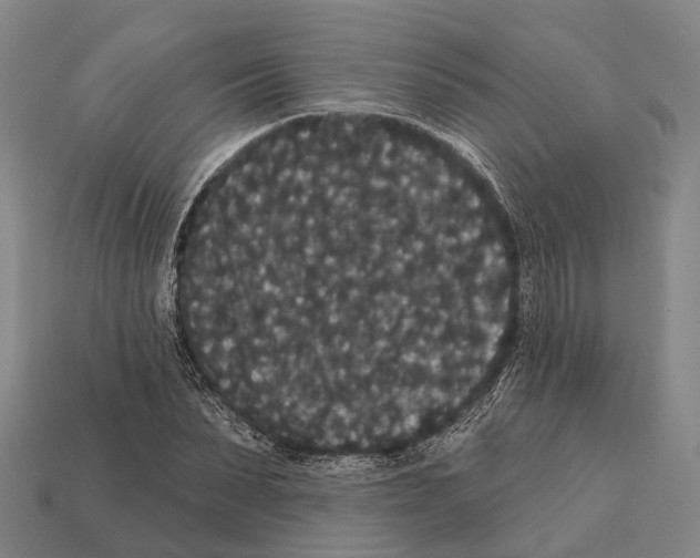 X0000111910879200909071154