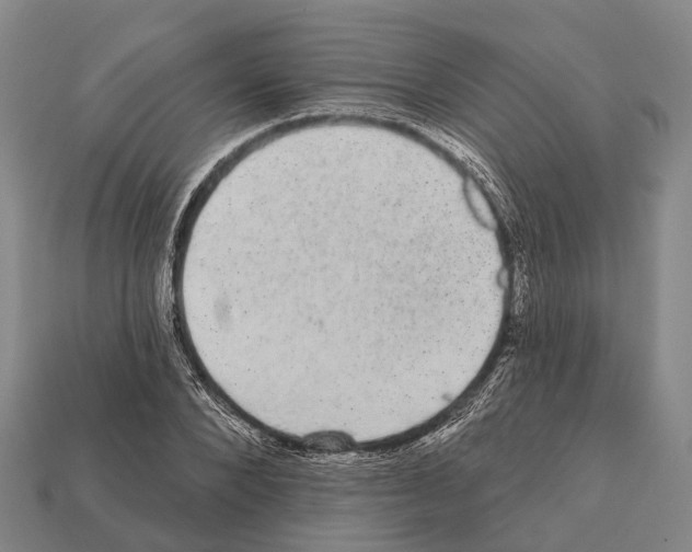 X0000111910880200909071154